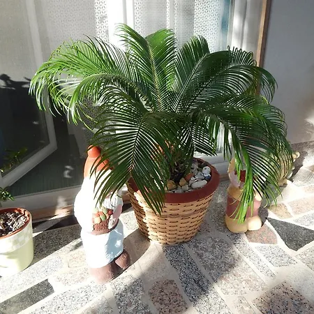 & Marinka Apartman Zára