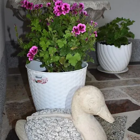 & Marinka * Zadar