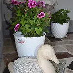 & Marinka * Ζαντάρ