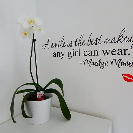 & Marinka Lägenhet Zadar