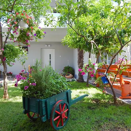 & Marinka Ζαντάρ