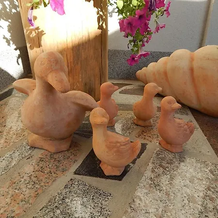 Lägenhet & Marinka *