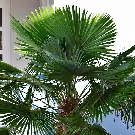 Appartement & Marinka