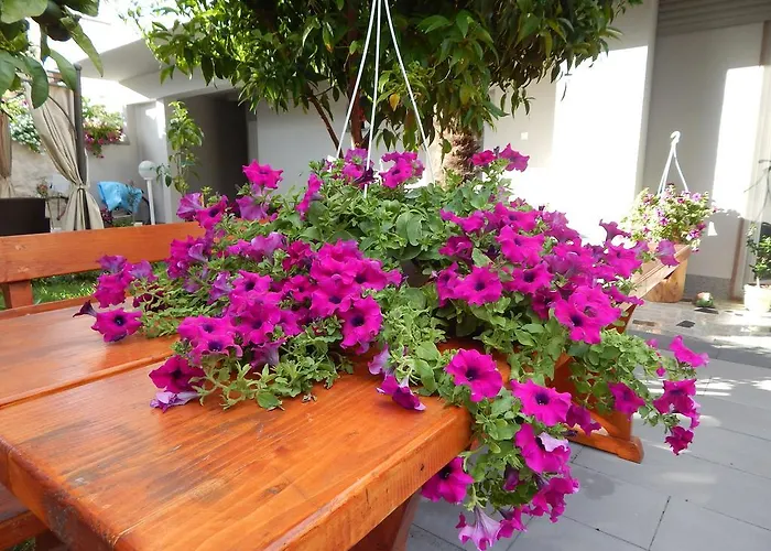 & Marinka * 扎达尔